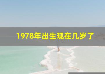 1978年出生现在几岁了