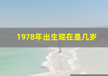 1978年出生现在是几岁