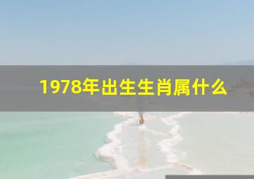 1978年出生生肖属什么