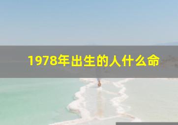 1978年出生的人什么命