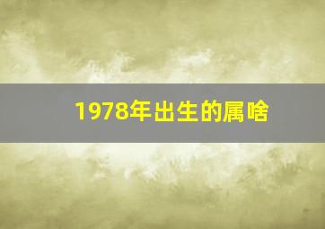 1978年出生的属啥