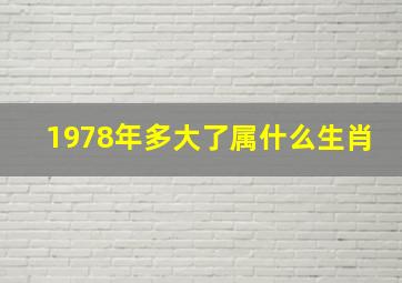 1978年多大了属什么生肖