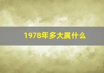 1978年多大属什么