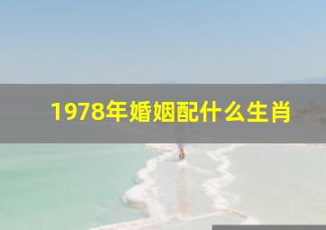 1978年婚姻配什么生肖