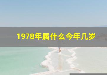 1978年属什么今年几岁