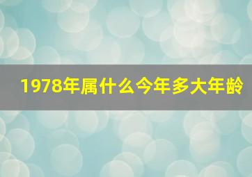 1978年属什么今年多大年龄