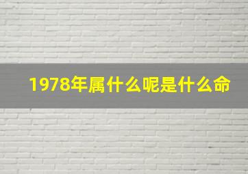 1978年属什么呢是什么命