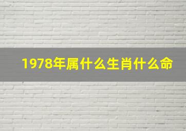 1978年属什么生肖什么命