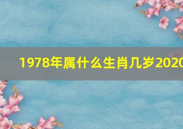 1978年属什么生肖几岁2020