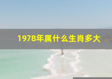 1978年属什么生肖多大