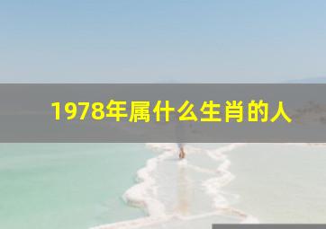 1978年属什么生肖的人