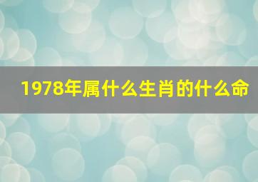 1978年属什么生肖的什么命