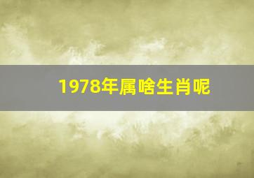 1978年属啥生肖呢