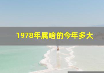 1978年属啥的今年多大