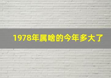 1978年属啥的今年多大了