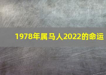 1978年属马人2022的命运