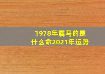 1978年属马的是什么命2021年运势