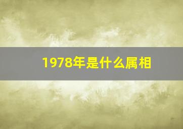 1978年是什么属相