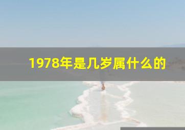 1978年是几岁属什么的