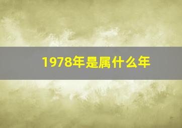 1978年是属什么年