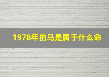 1978年的马是属于什么命