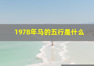 1978年马的五行是什么