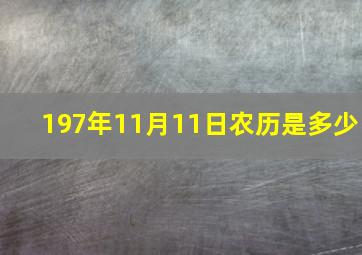 197年11月11日农历是多少