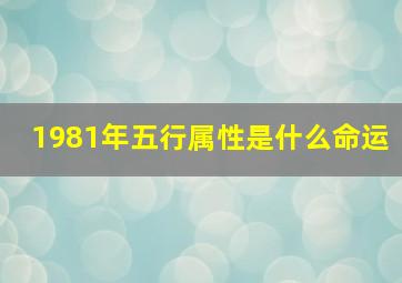 1981年五行属性是什么命运