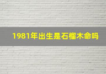 1981年出生是石榴木命吗