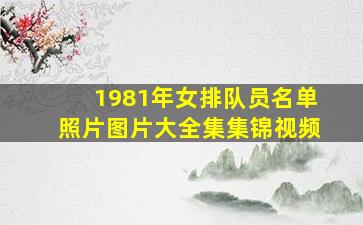 1981年女排队员名单照片图片大全集集锦视频