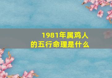 1981年属鸡人的五行命理是什么