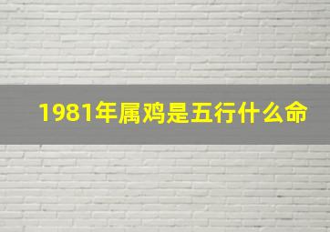 1981年属鸡是五行什么命