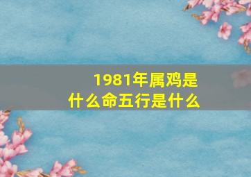 1981年属鸡是什么命五行是什么