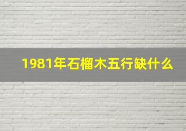 1981年石榴木五行缺什么