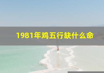 1981年鸡五行缺什么命