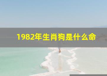 1982年生肖狗是什么命