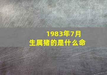 1983年7月生属猪的是什么命