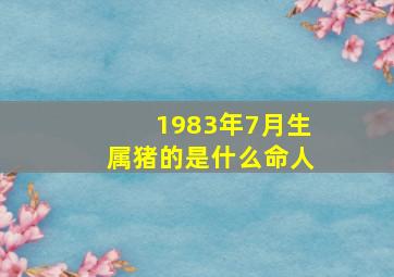 1983年7月生属猪的是什么命人