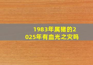 1983年属猪的2025年有血光之灾吗