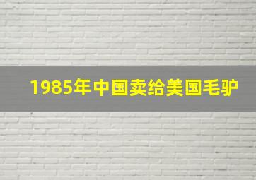 1985年中国卖给美国毛驴