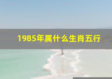 1985年属什么生肖五行