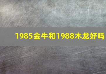 1985金牛和1988木龙好吗