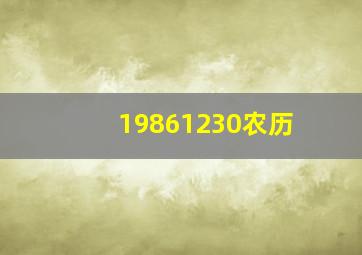 19861230农历