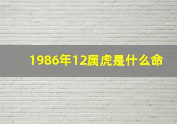 1986年12属虎是什么命