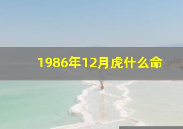 1986年12月虎什么命