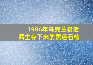 1986年乌克兰核泄漏生存下来的黑色石楠