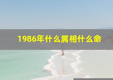 1986年什么属相什么命