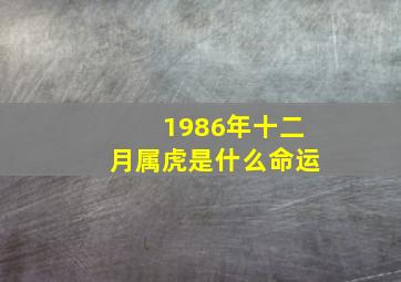 1986年十二月属虎是什么命运