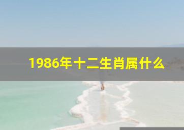 1986年十二生肖属什么