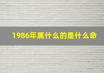 1986年属什么的是什么命